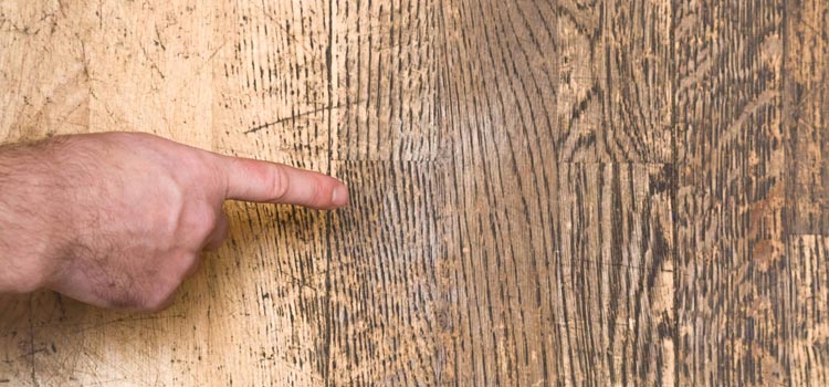 Wood Door Scratch Repair in Anderson